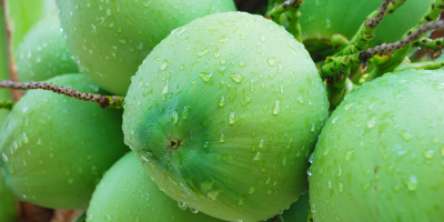 Benefícios da água de coco na prática de exercícios físicos